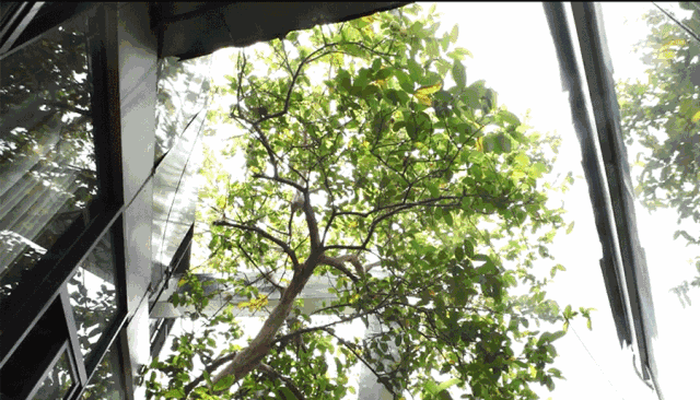 640 (3).gif